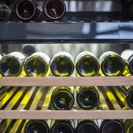 Avangard Ośrodek wypoczynkowy 4*